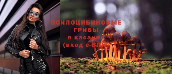 кристаллы Новодвинск