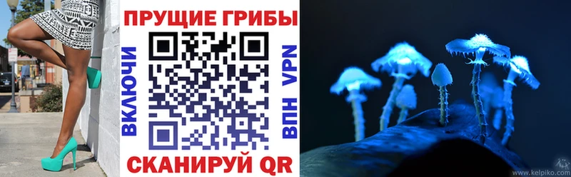 где купить наркоту  Бирюч  это официальный сайт  Псилоцибиновые грибы мухоморы 